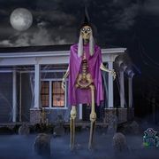 12 foot skeleton costume