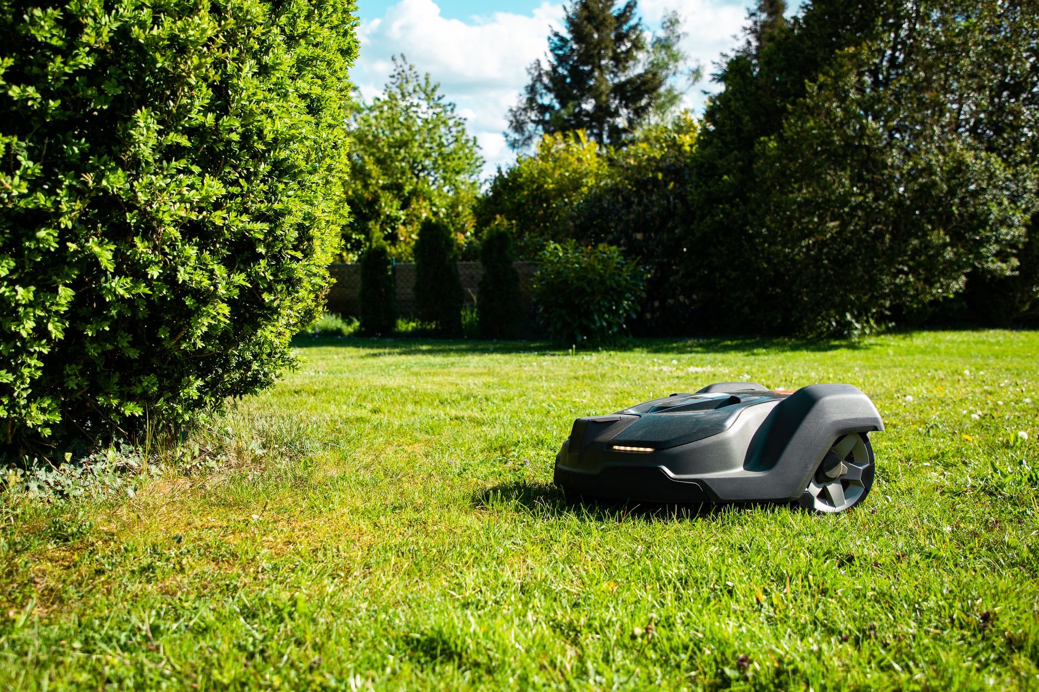 Robot lawn mower large garden sale