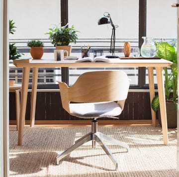 home officestudy with plants and plenty of natural light