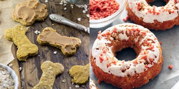 homemade dog treats