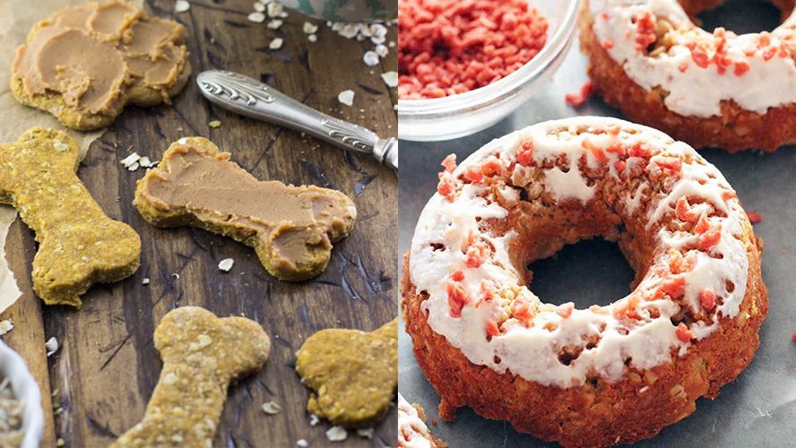Dog Treat Baking Supplies You'll Want in Your Kitchen