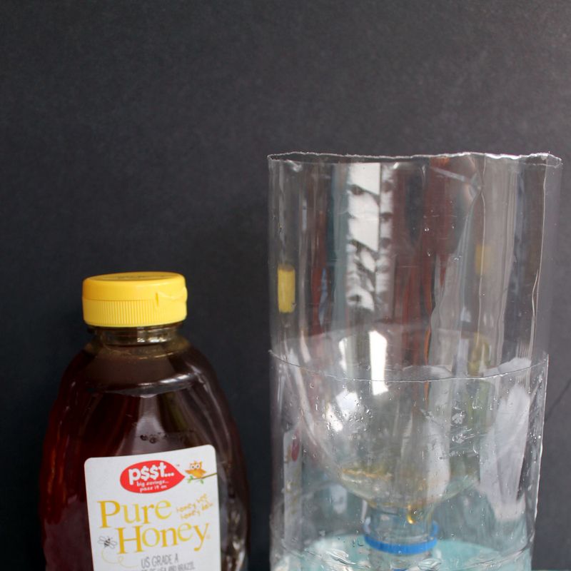 Armadilha para mosca caseira com garrafa e mel