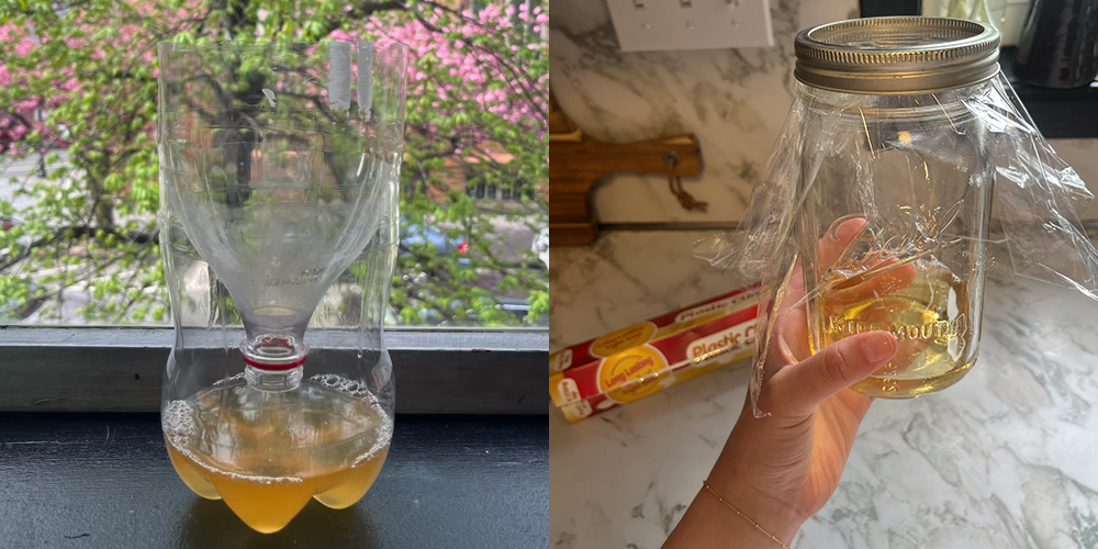 These DIY Fruit Fly Traps Will Save Your Kitchen