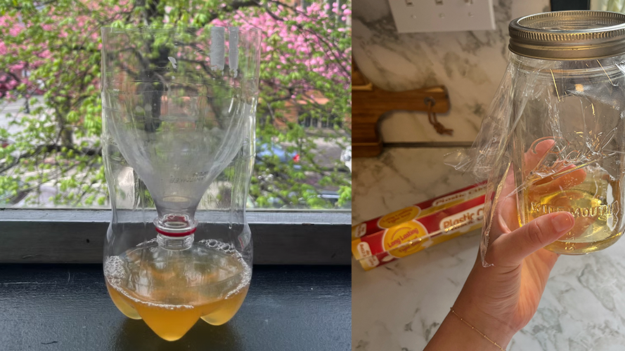 These DIY Fruit Fly Traps Will Save Your Kitchen