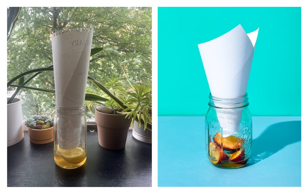 homemade fly trap