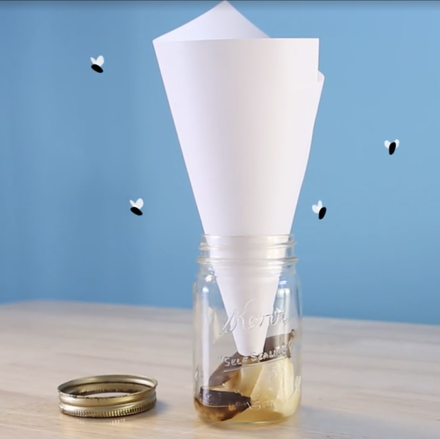 How to Make Your Own DIY Fly Paper