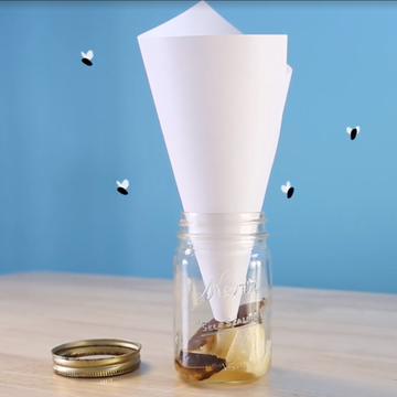 homemade fly trap, mason jar with bait inside and animated flies hovering above