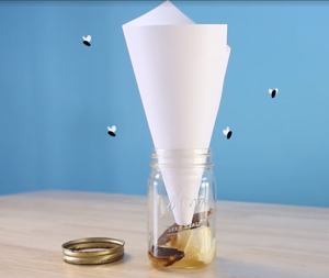 How To Get Rid Of Fruit Flies: 6 DIY Fly Traps - Farmers' Almanac - Plan  Your Day. Grow Your Life.