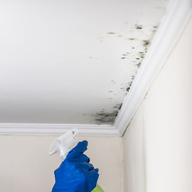 How To Stop Mould From Returning With This Homemade Spray