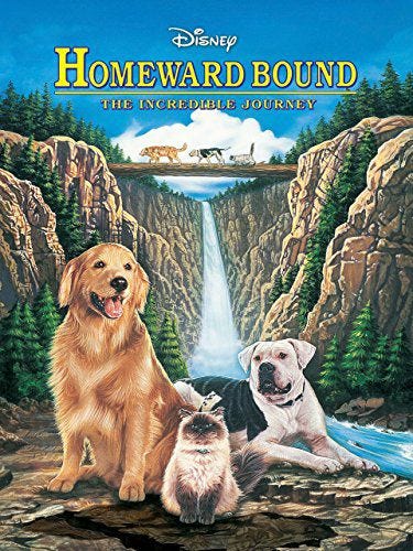 homeward bound