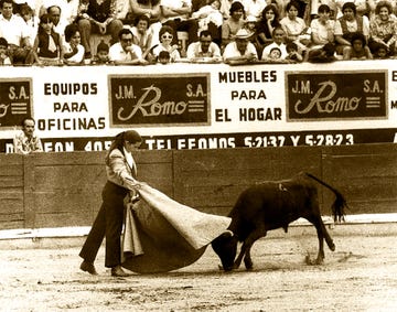 honey anne haskin, bull fighting