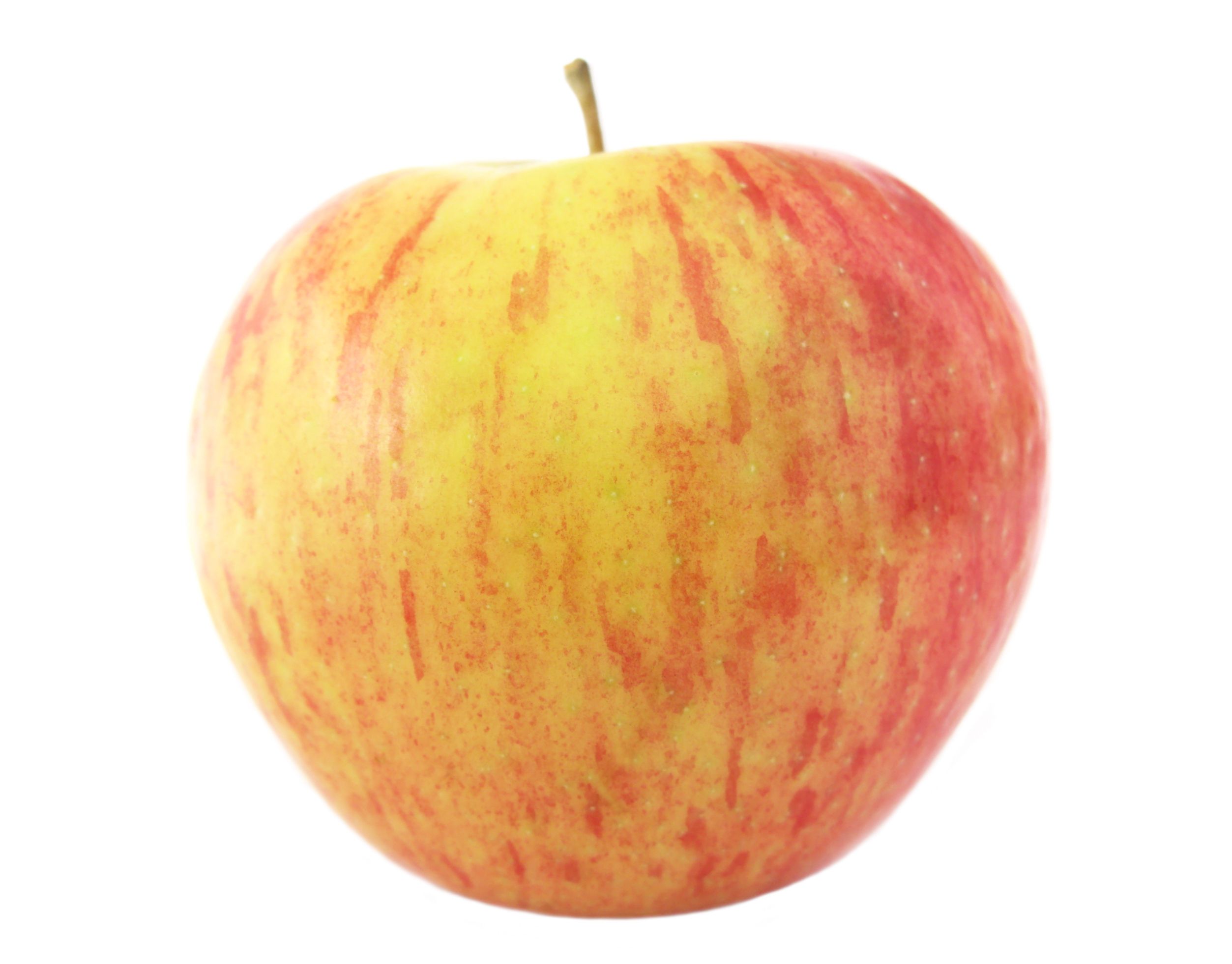 Honey Crisp Apples - Basket of 6 - Walnut Creek Farm