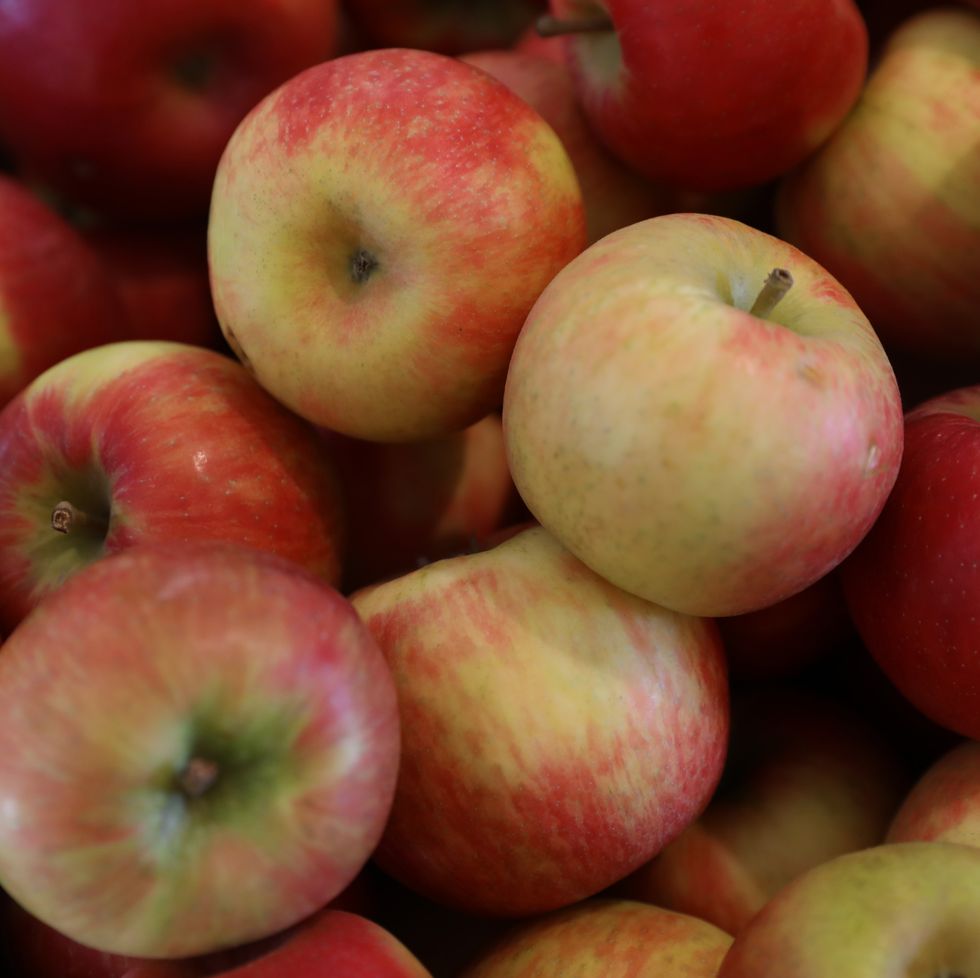https://hips.hearstapps.com/hmg-prod/images/honeycrisp-apples-sit-in-a-bin-at-a-farm-royalty-free-image-1627316498.jpg?crop=0.668xw:1.00xh;0.134xw,0&resize=980:*