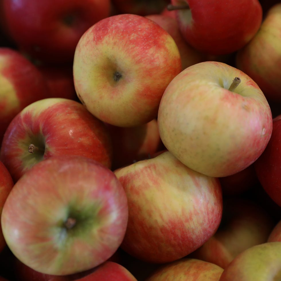 honeycrisp apples sit in a bin at a farm