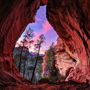 trees and sky seen through cave during sunset