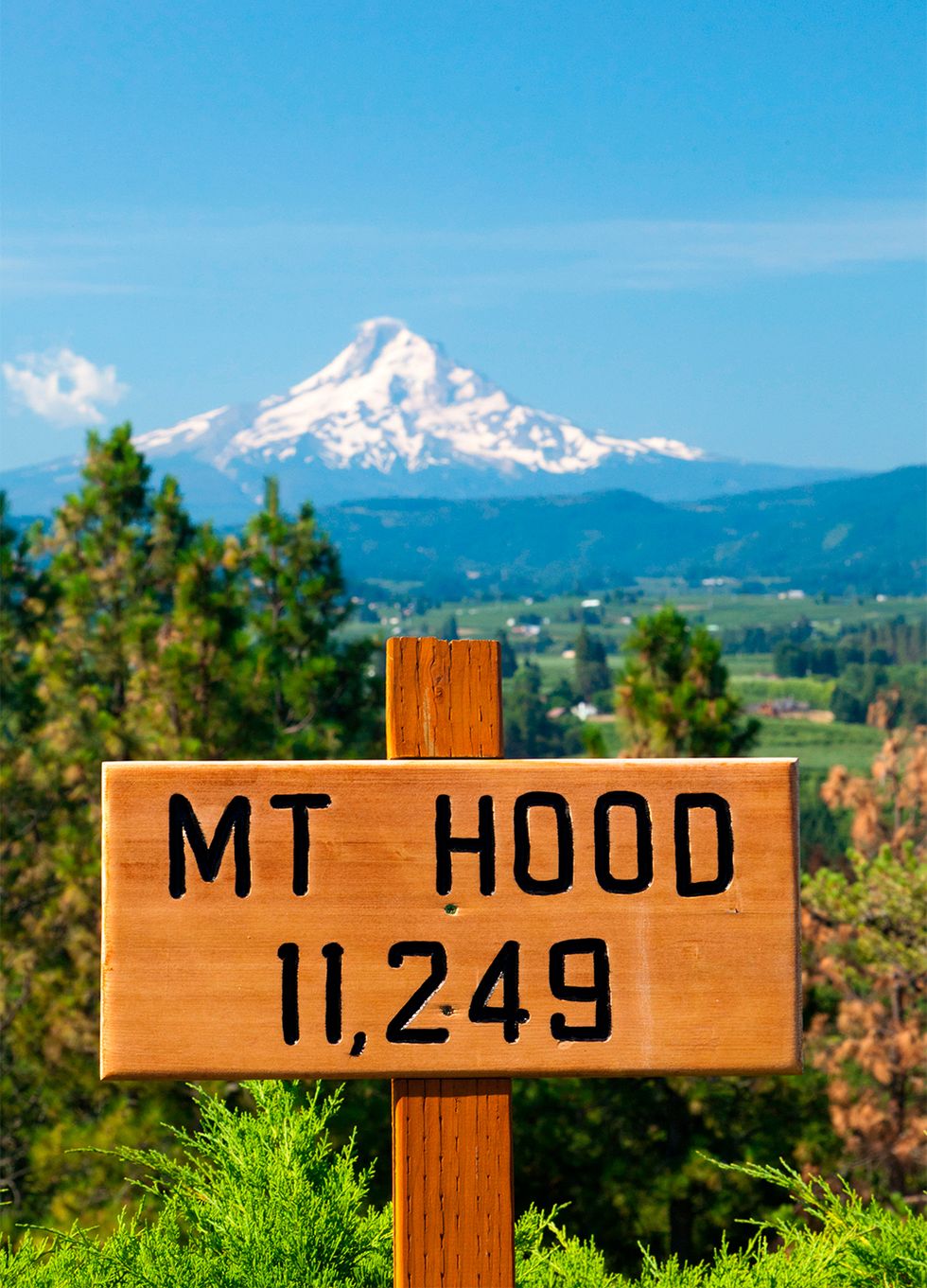 square wood sign that reads mount hood 11249 in black letters