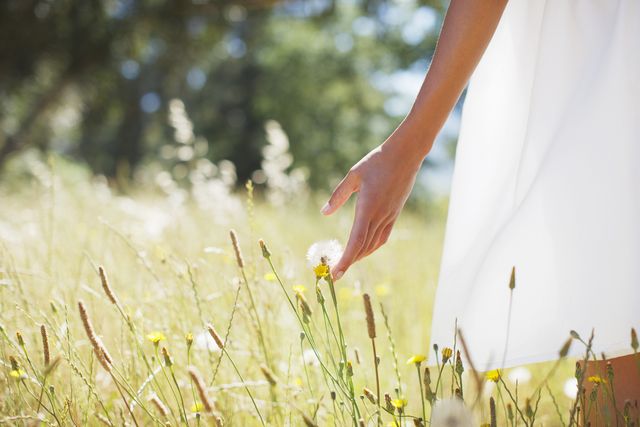 People in nature, Photograph, Grass, Yellow, Sunlight, Meadow, Grass family, Spring, Dress, Wildflower, 