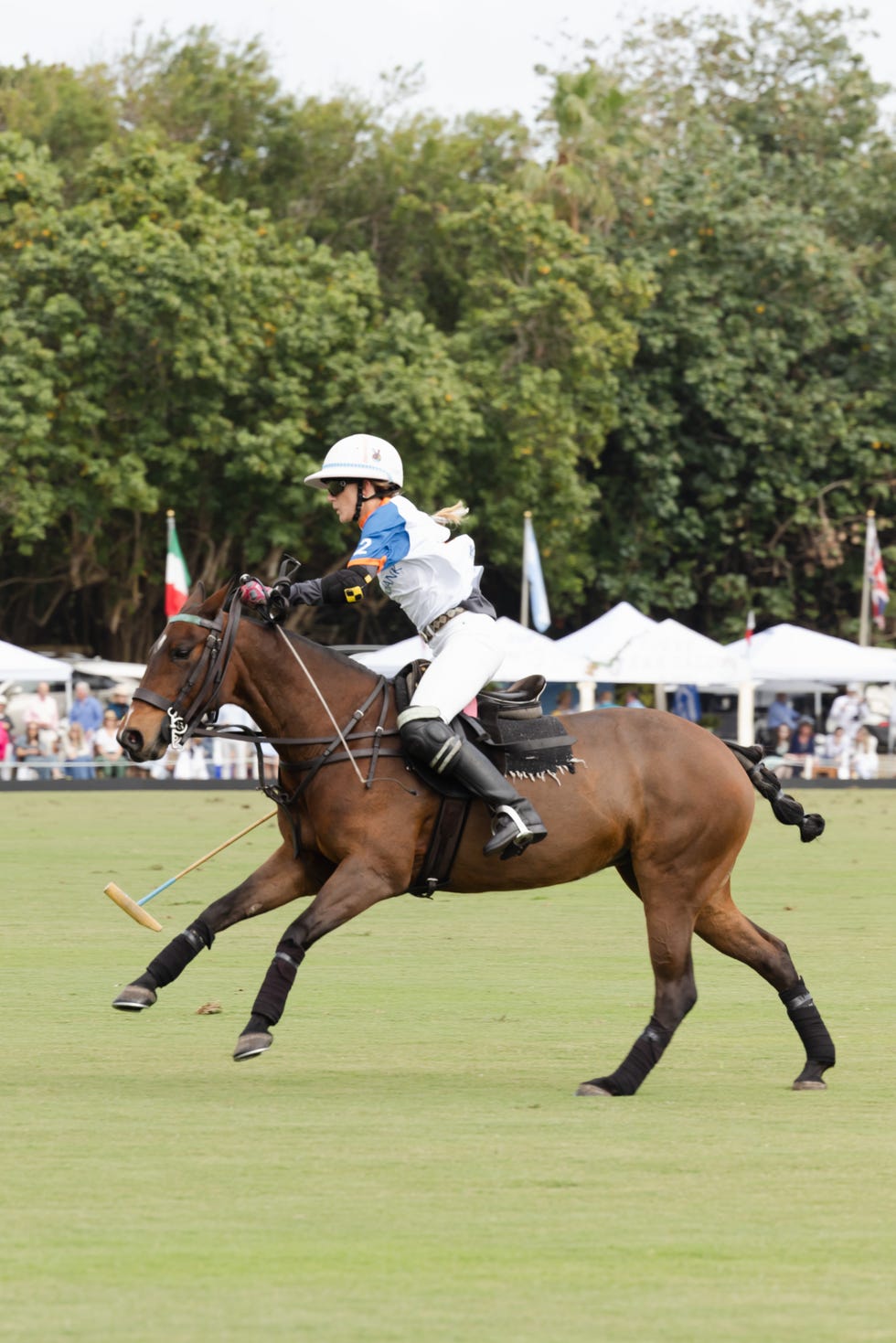 Polo, Shopping, Tailgates, Oh My! A Look Inside the Windsor Charity ...