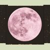 AGENDA LUNAR 2024: Fases Lunares, Signo Lunar, Rituales, Ilustraciones,  Mantras, Calendario Lunar (Spanish Edition)
