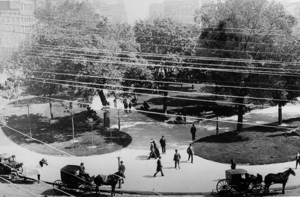 numerous early electric wires hang across a park in new york city
