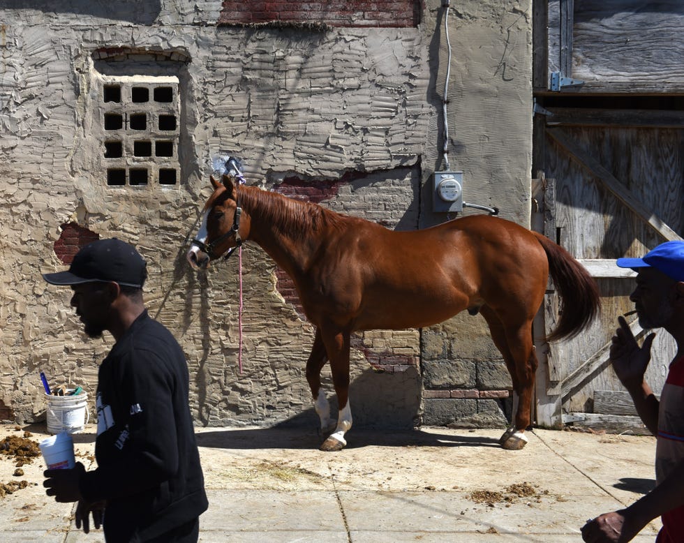 Idris Elba's Concrete Cowboy Movie Inspired By A Very Real Club