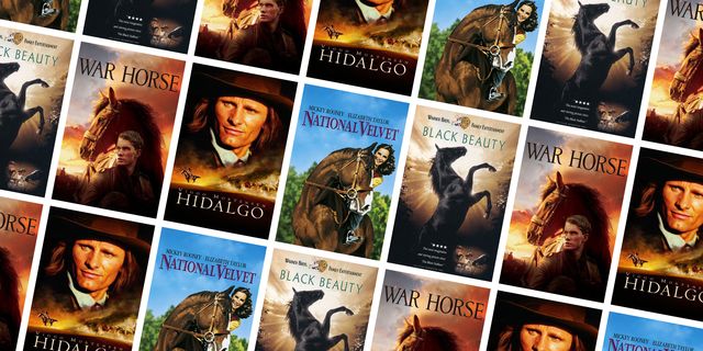 Movies About Horses  : Top Equestrian Films
