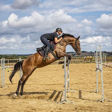 horse with female rider jumping obstacle.