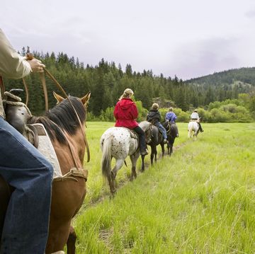 horseback riding along meadow