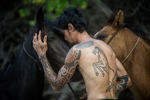 Vohi probeert geduldig om het vertrouwen van de paarden te winnen Ieder stadium in het trainingsproces is van belang om te zorgen voor harmonie tussen mens en paard Hij spreekt de dieren regelmatig toe in het Marquesaans en roept ze door hun gehinnik te imiteren