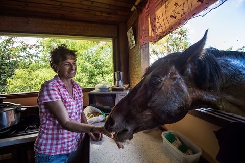 Patricia woont al dertig jaar met Paco op het eiland Hiva Oa Hij leerde haar paardrijden Ze leven in harmonie met hun paarden die soms bij de keuken komen bedelen om lekkere hapjes