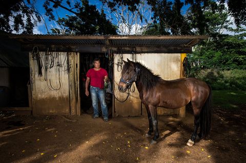 Paco werd op Ua Huka opgevoed met de paardentradities van de Marquesaseilanden Hij heeft nu zijn eigen boerderij met een tiental prachtige paarden
