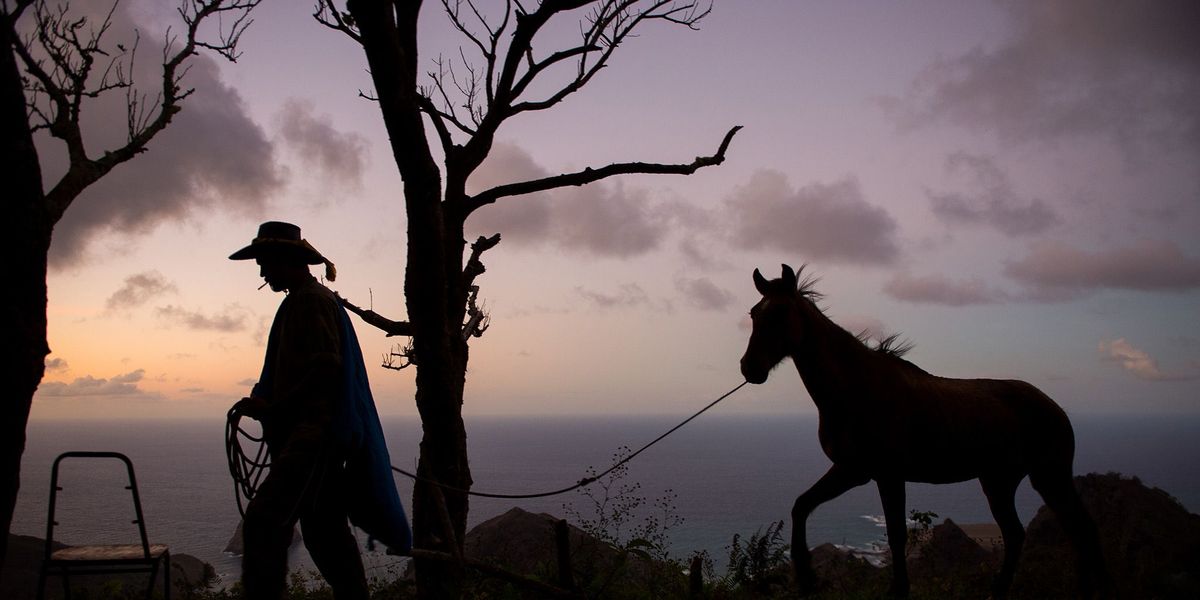 Na met zijn zonen een nacht te hebben doorgebracht in de bergen van Ua Huki haalt Vohi de paarden op voor de terugtocht naar de vallei