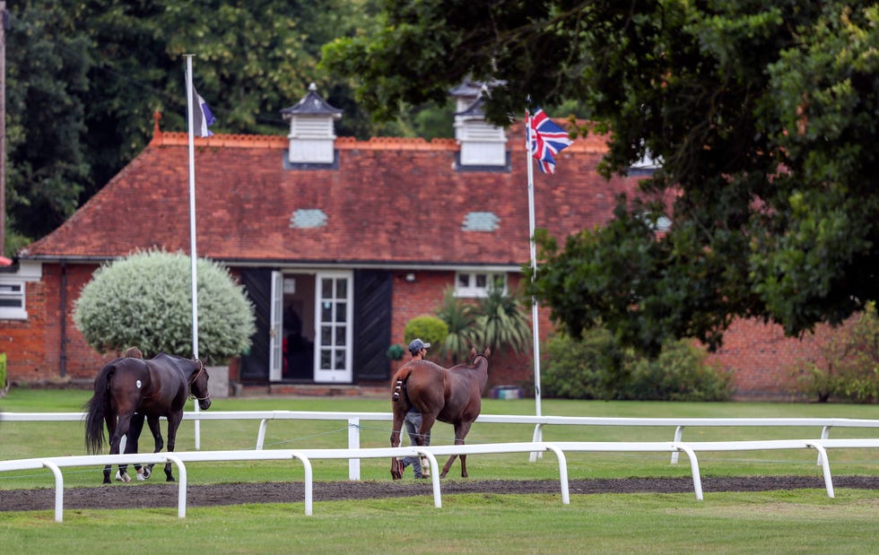 royal county of berkshire polo club