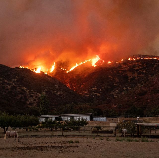 topshot us wildfires california