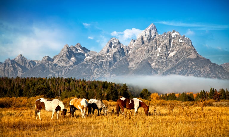 where to go in september jackson hole 2020