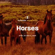 autoweek breaks down horses april may 2020