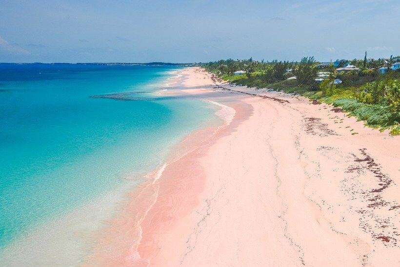 pink sand beach bermuda