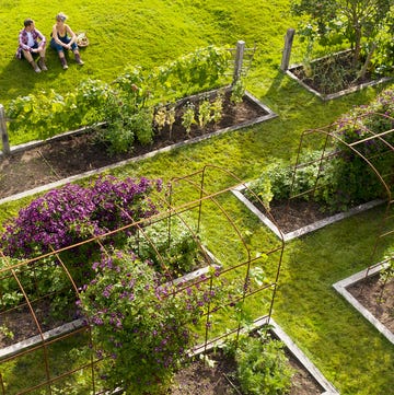 Que es el horti-futurismo que es el horti futurismo