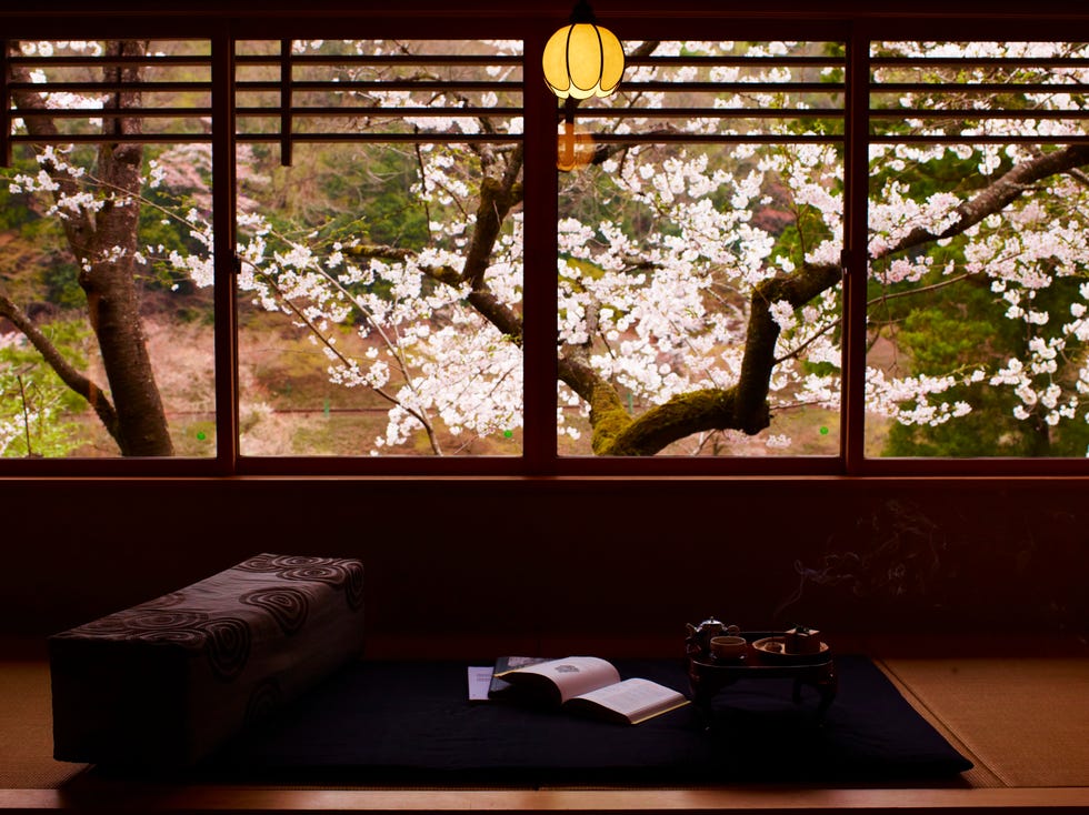 a room with a bed and a window with trees outside