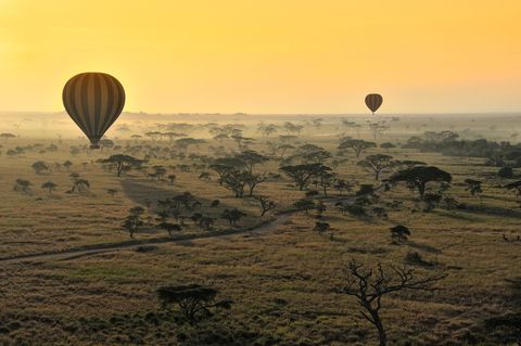 Of je nu in een heteluchtballon boven de savanne zweeft of op ooghoogte over de weg rijdt een bezoek aan het Serengeti National Park zal altijd een wilde ervaring zijn
