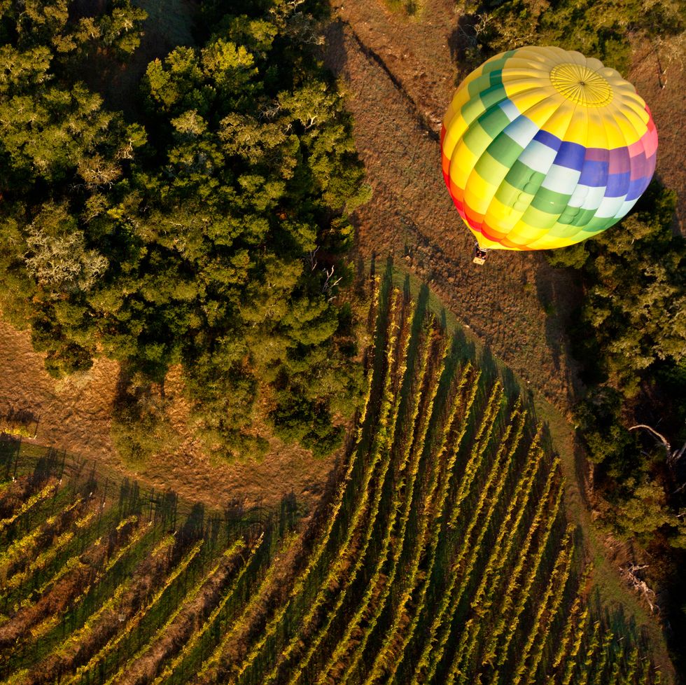 hot air ballooning over a vineyard in napa valley