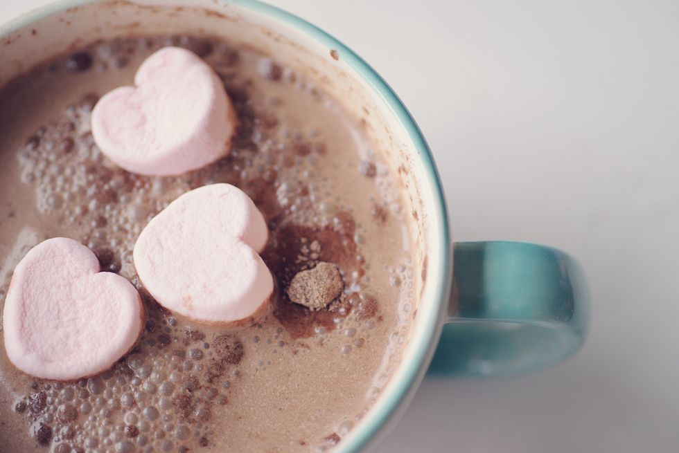 hot cup of cocoa drink