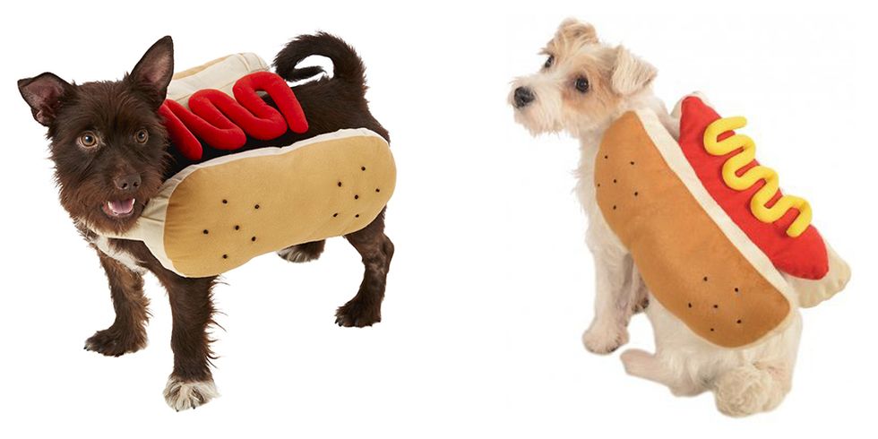 hot dog dog halloween costumes