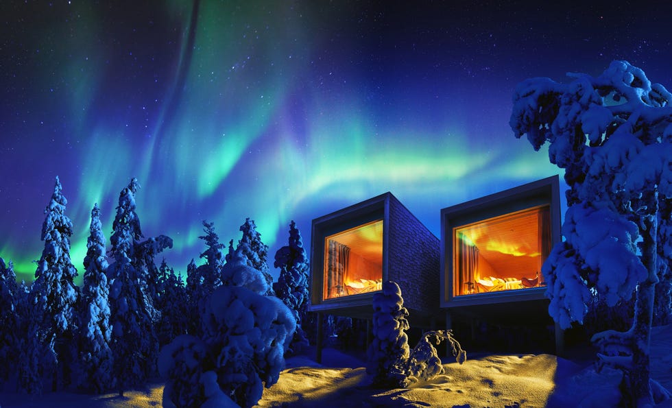 Hotel Arctic TreeHouse
