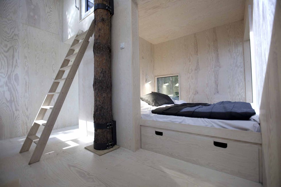Hotel en un árbol de un bosque de Suecia