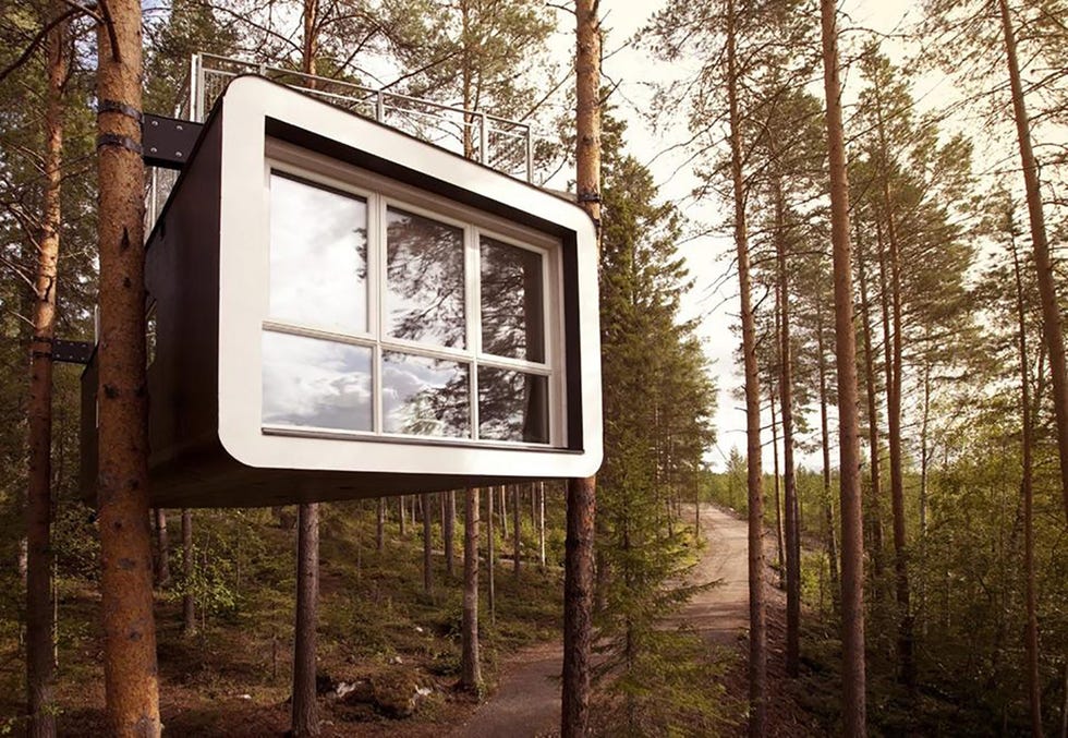 Hotel en un árbol de un bosque de Suecia