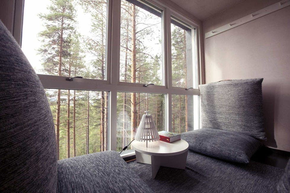 Hotel en un árbol de un bosque de Suecia