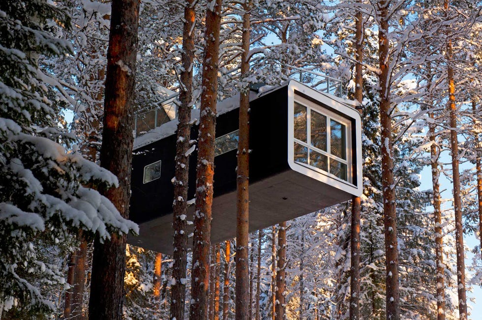 Hotel en un árbol de un bosque de Suecia