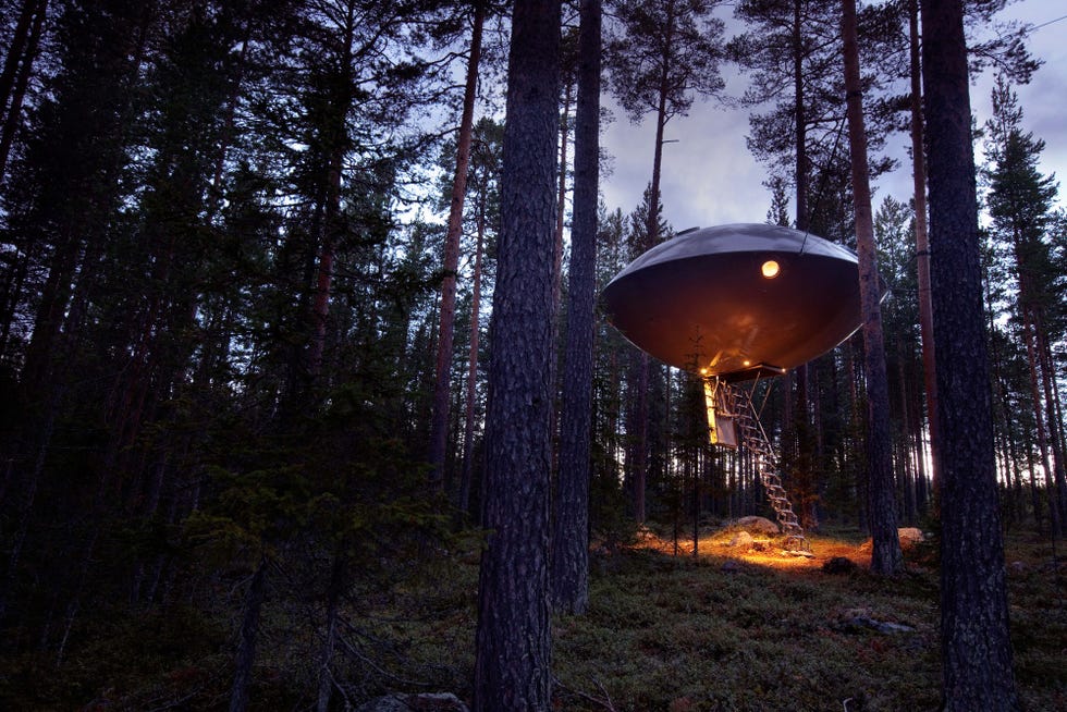 Hotel en un árbol de un bosque de Suecia
