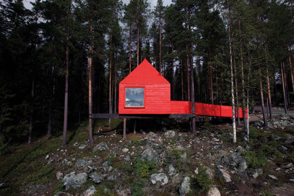 Hotel en un árbol de un bosque de Suecia